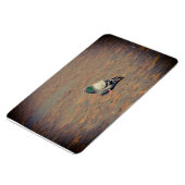 Taube Magnet (Linke Seite)