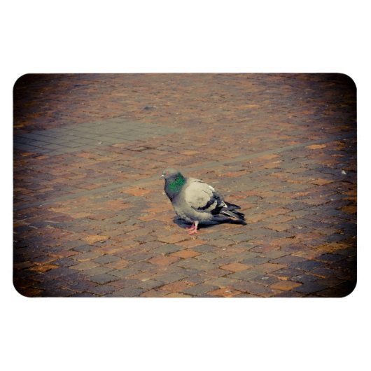 Taube Magnet (Horizontal)