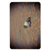 Taube Magnet (Vertikal)