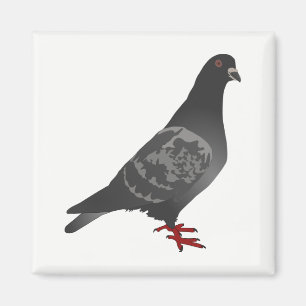 Taube Magnet