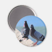 Taube Magnet (Vorderseite/Rückseite)