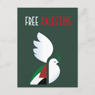 Taube mit der palästinensischen Flagge Postkarte