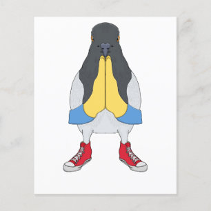 Taube mit Schuhen Flyer