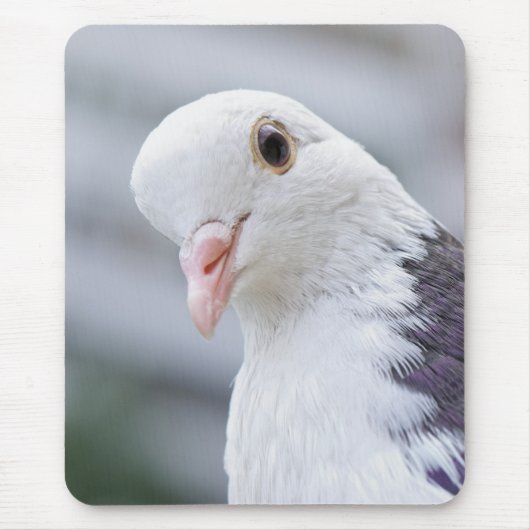 Taube Mousepad (Vorne)