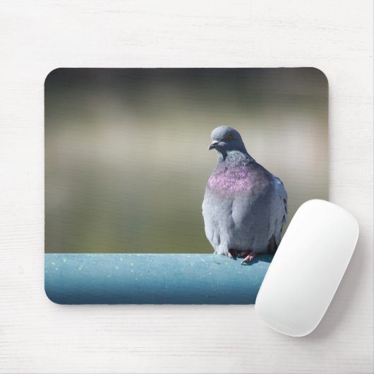 Taube Mousepad (Mit Mouse)