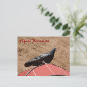 Taube nach Ostern - Postkarte (Stehend Vorderseite)