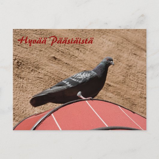 Taube nach Ostern - Postkarte (Vorderseite)