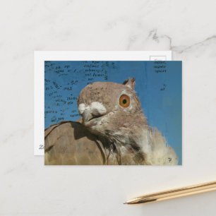 Taube namens Herr Taube Abstrakte Wörter Postkarte