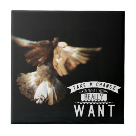 Taube nimmt eine Chance Fliese