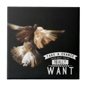 Taube nimmt eine Chance Fliese