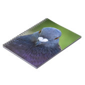 Taube Notizblock (Linke Seite)