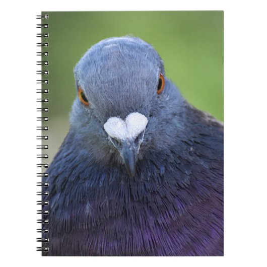 Taube Notizblock (Vorderseite)