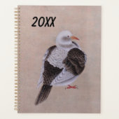 Taube Planer (Vorderseite)