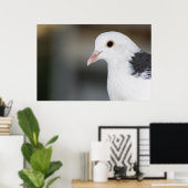 Taube Poster (Heimbüro)