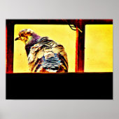 Taube Poster (Vorne)