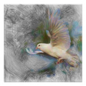 Taube Poster (Vorderseite)