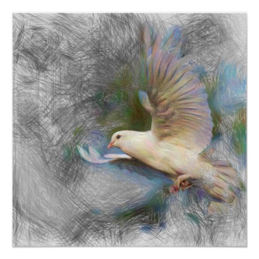 Taube Poster (Vorderseite)