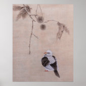 Taube Poster (Vorne)