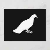 Taube Postkarte (Vorderseite)