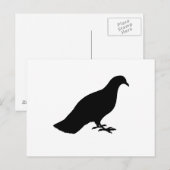 Taube Postkarte (Vorne/Hinten)