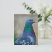 Taube Postkarte (Stehend Vorderseite)