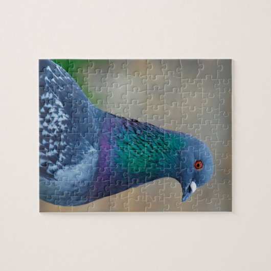 Taube Puzzle (Horizontal)