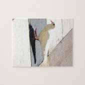 Taube Puzzle (Horizontal)