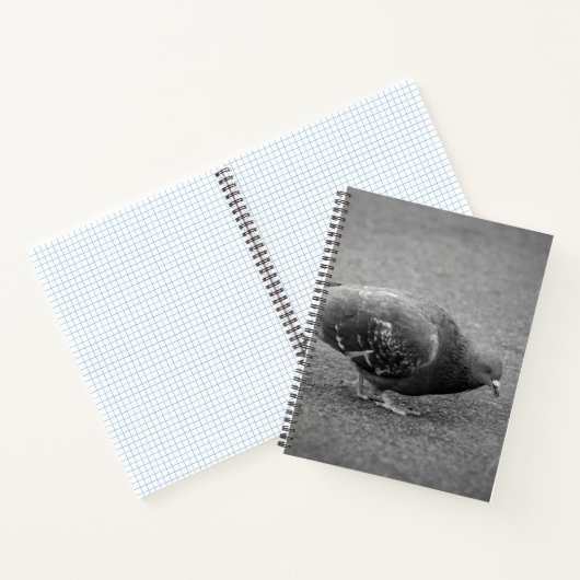 Taube Spiral Notebook Notizblock (Innenseite)