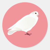 Taube (Taube) Runder Aufkleber (Vorderseite)