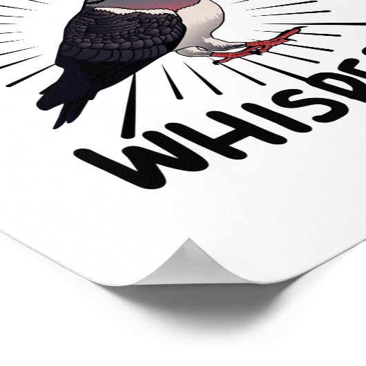 Taube - TaubenWhisperer Poster (Ecke)