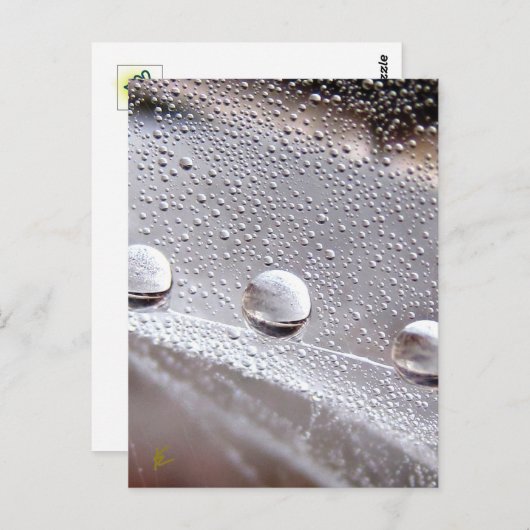 Taube tropft auf Spider Web Galaxy Natur Postkarte (Vorne/Hinten)