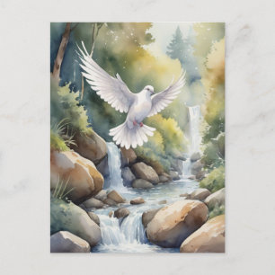 Taube über Wasserfarbe Postkarte