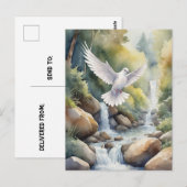 Taube über Wasserfarbe Postkarte (Vorne/Hinten)