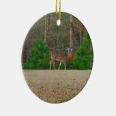 Taube und Kiefern Keramikornament (Rechts)