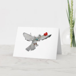 Taube und Rose Karte