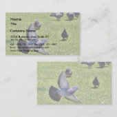 Taube Visitenkarte (Vorne/Hinten)