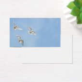 Tauben (Schreibtisch)