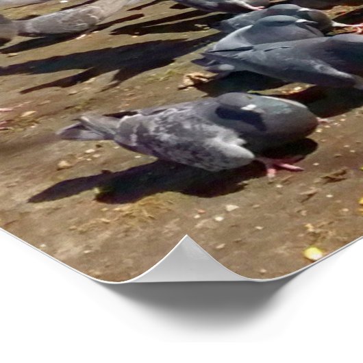 Tauben Ansammlung rund um Baum mit Herz Poster (Ecke)