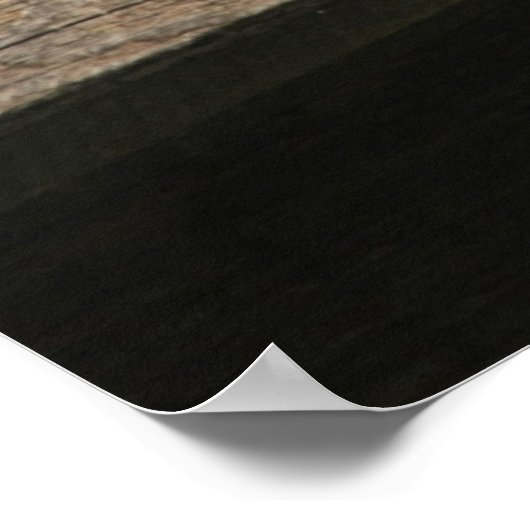 Tauben auf dem Dach. Poster (Ecke)