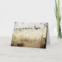 Tauben auf einem Dach