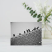 Tauben auf einem Dach Postkarte (Stehend Vorderseite)