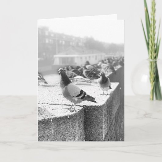 Tauben auf einer Brücke Karte (Vorderseite)