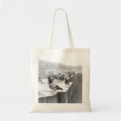 Tauben auf einer Brücke Tragetasche (Vorne)