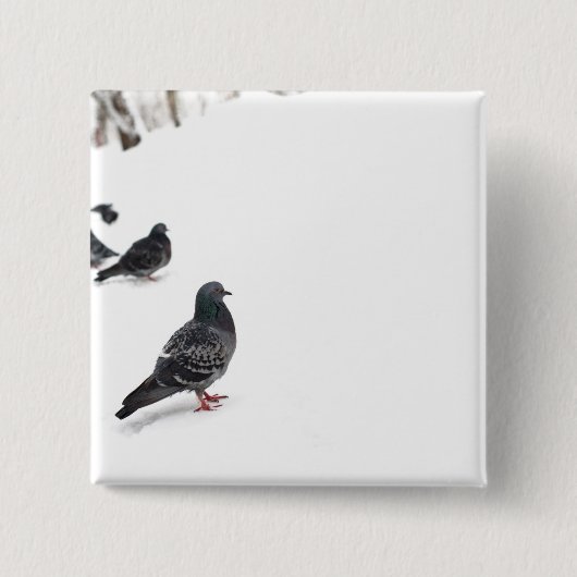 Tauben Button (Vorderseite)