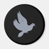 Tauben Doves Bird Birds Zucht Fliege