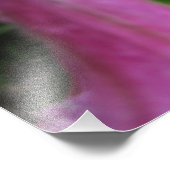 Tauben fällt auf rosa Blume ab Fotodruck (Ecke)