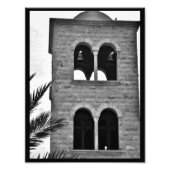 Tauben Fotodruck (Vorne)