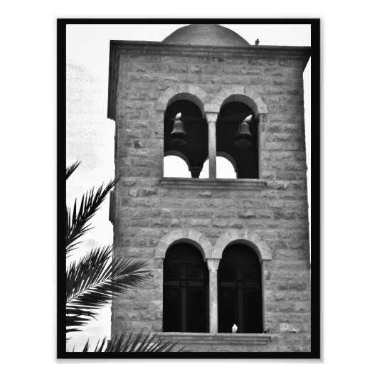 Tauben Fotodruck (Vorne)