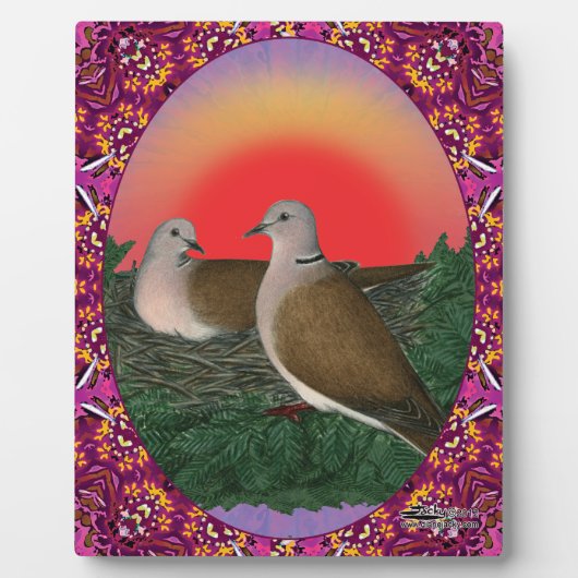 Tauben Gerahmt Fotoplatte (Vorderseite)