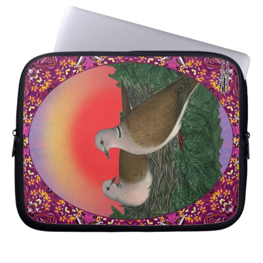 Tauben Gerahmt Laptopschutzhülle (Vorderseite)